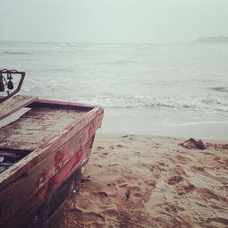 北戴河旅游爆料最新消息,最新爆料揭示热门景点与活动！  第3张